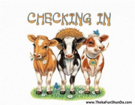 checking-in