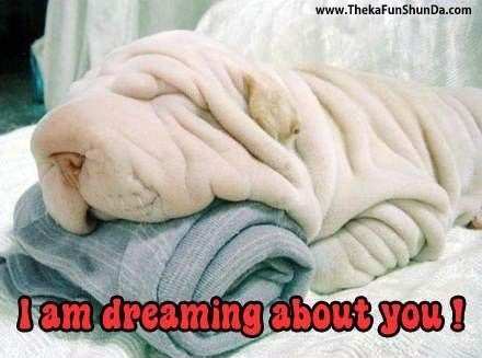 dreaming-of-u