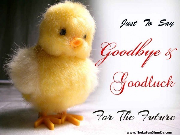 good-bye