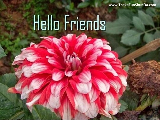 hello-hi