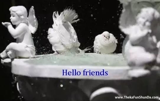 hello-hi