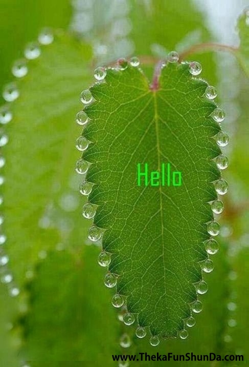 hello-hi