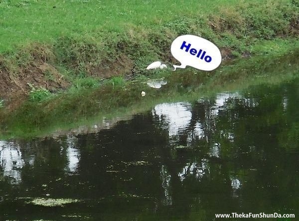 hello-hi