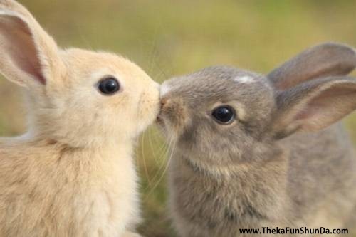 kiss