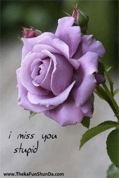 miss-you