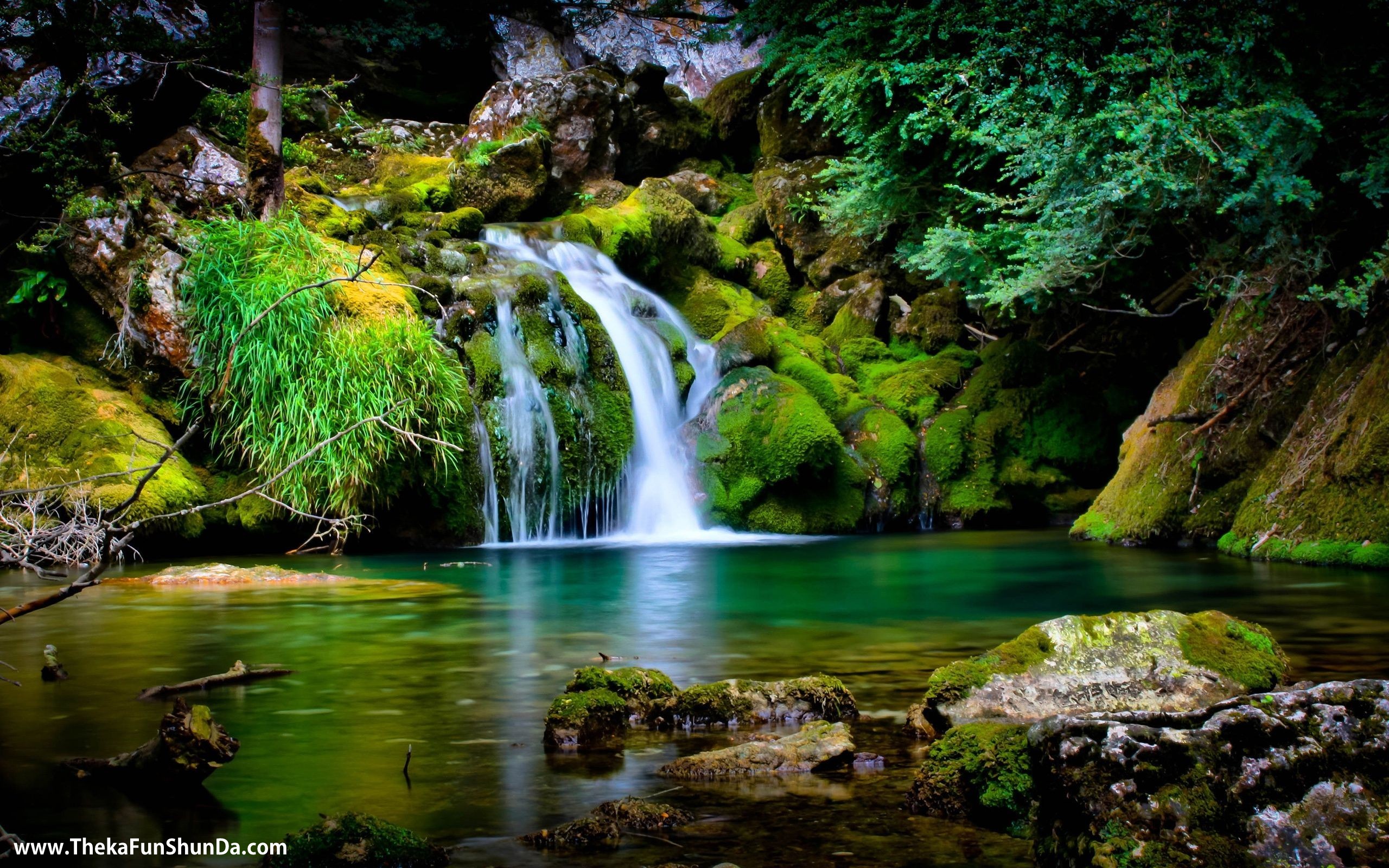 nature