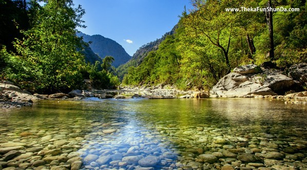 nature