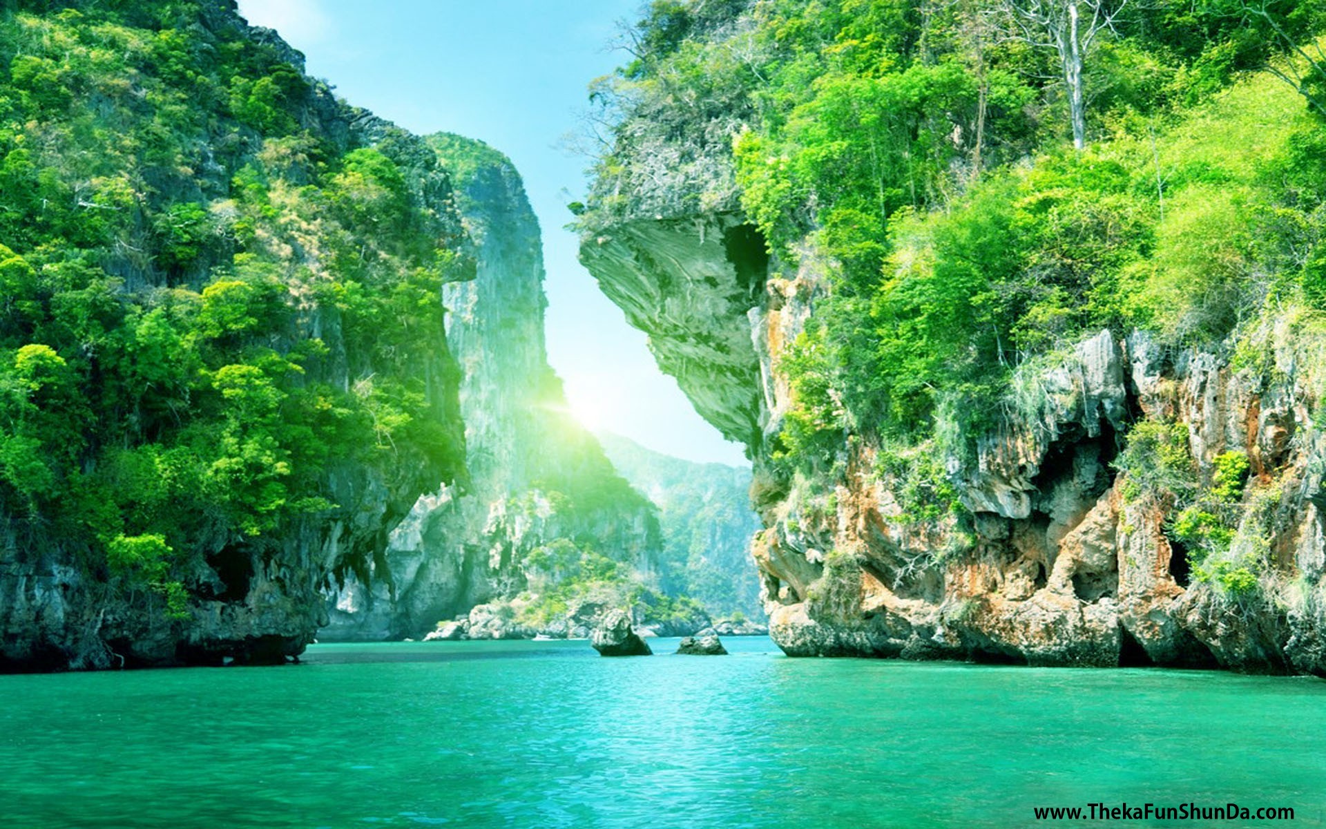 nature