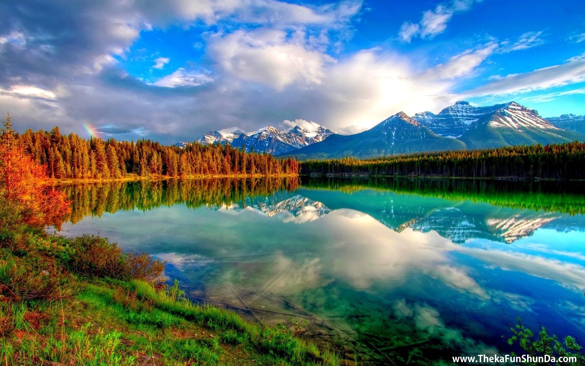 nature