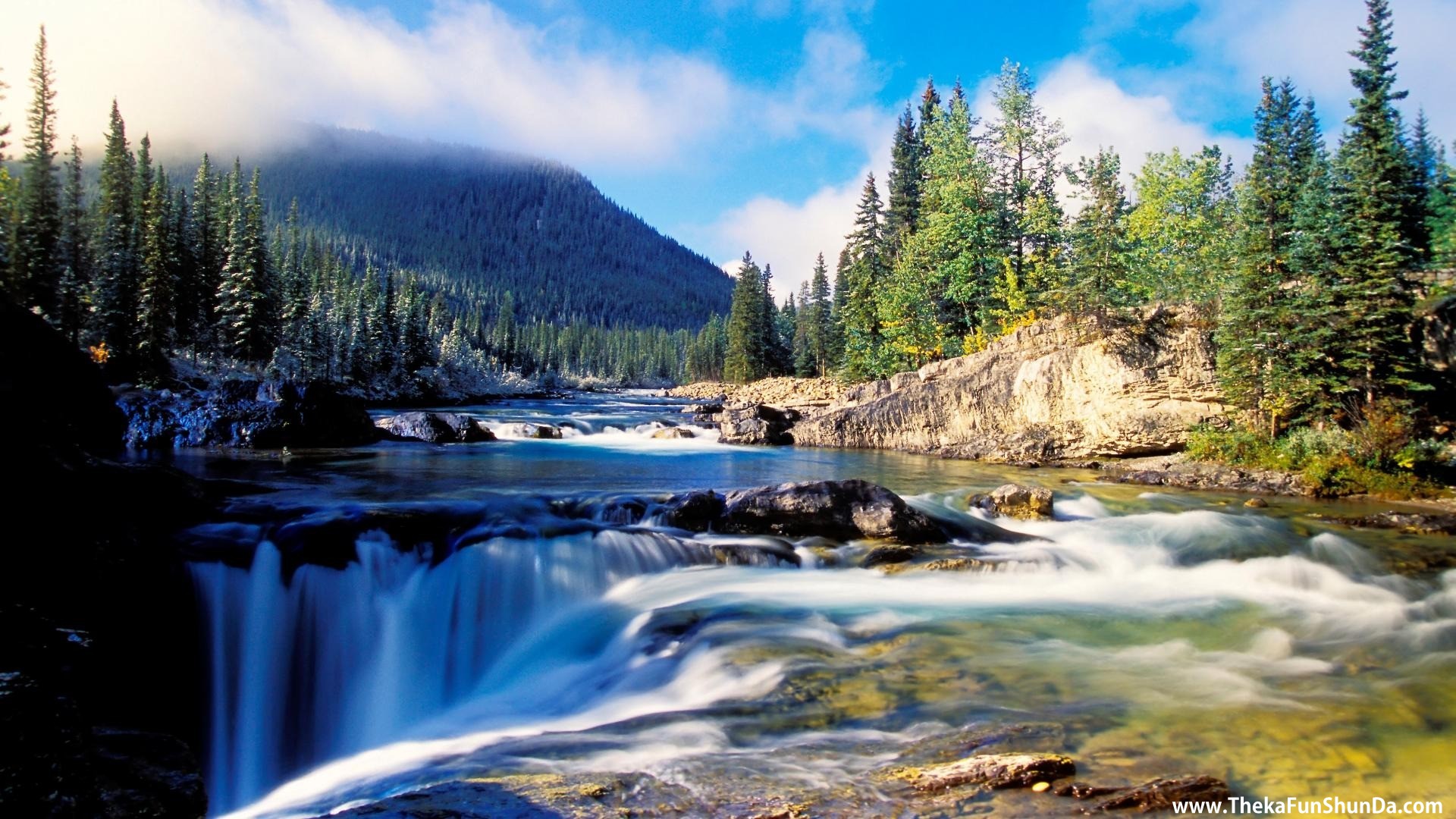 nature