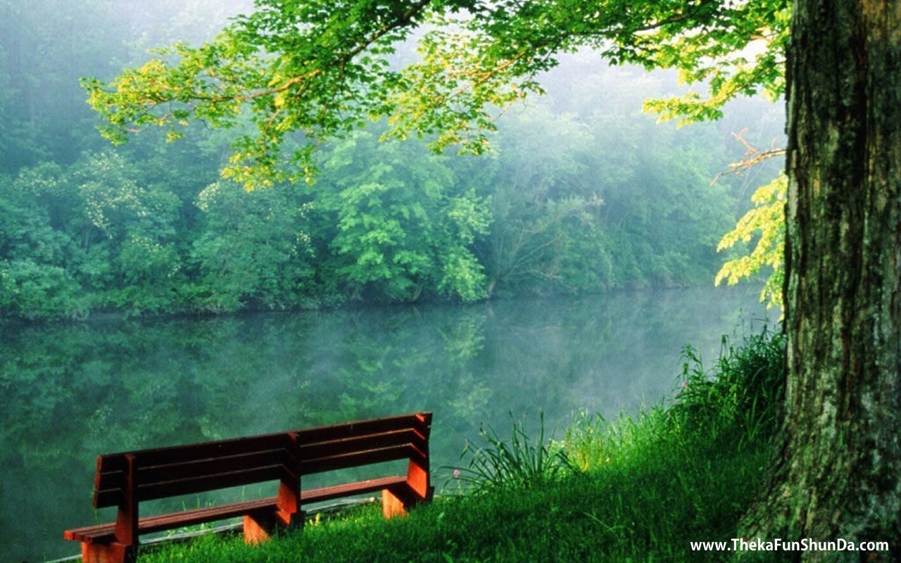 nature