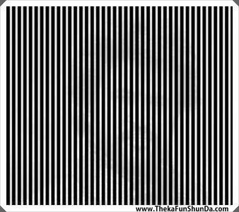 optical-illusions