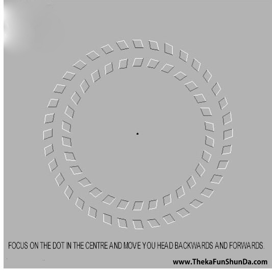 optical-illusions