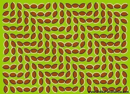optical-illusions