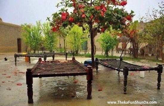 rain