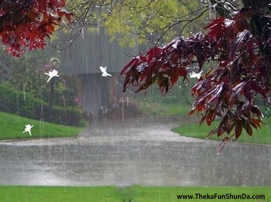 rain