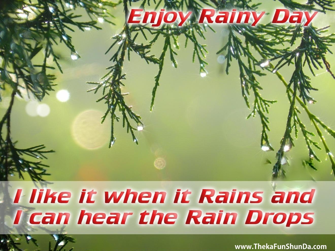 rain