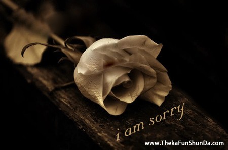 sorry