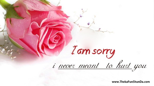 sorry