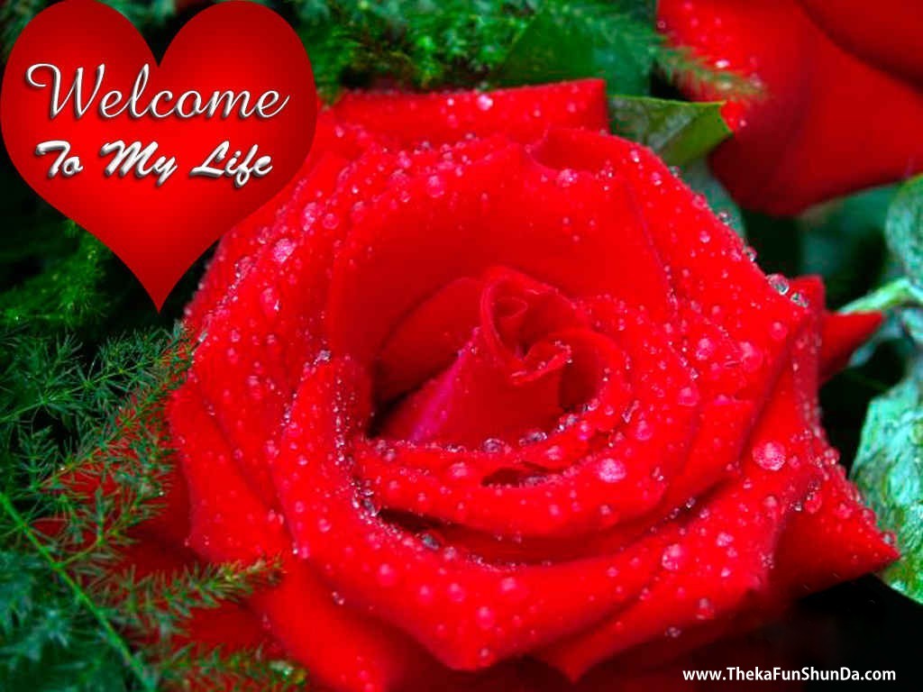 welcome