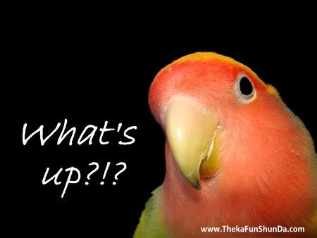 whats-up