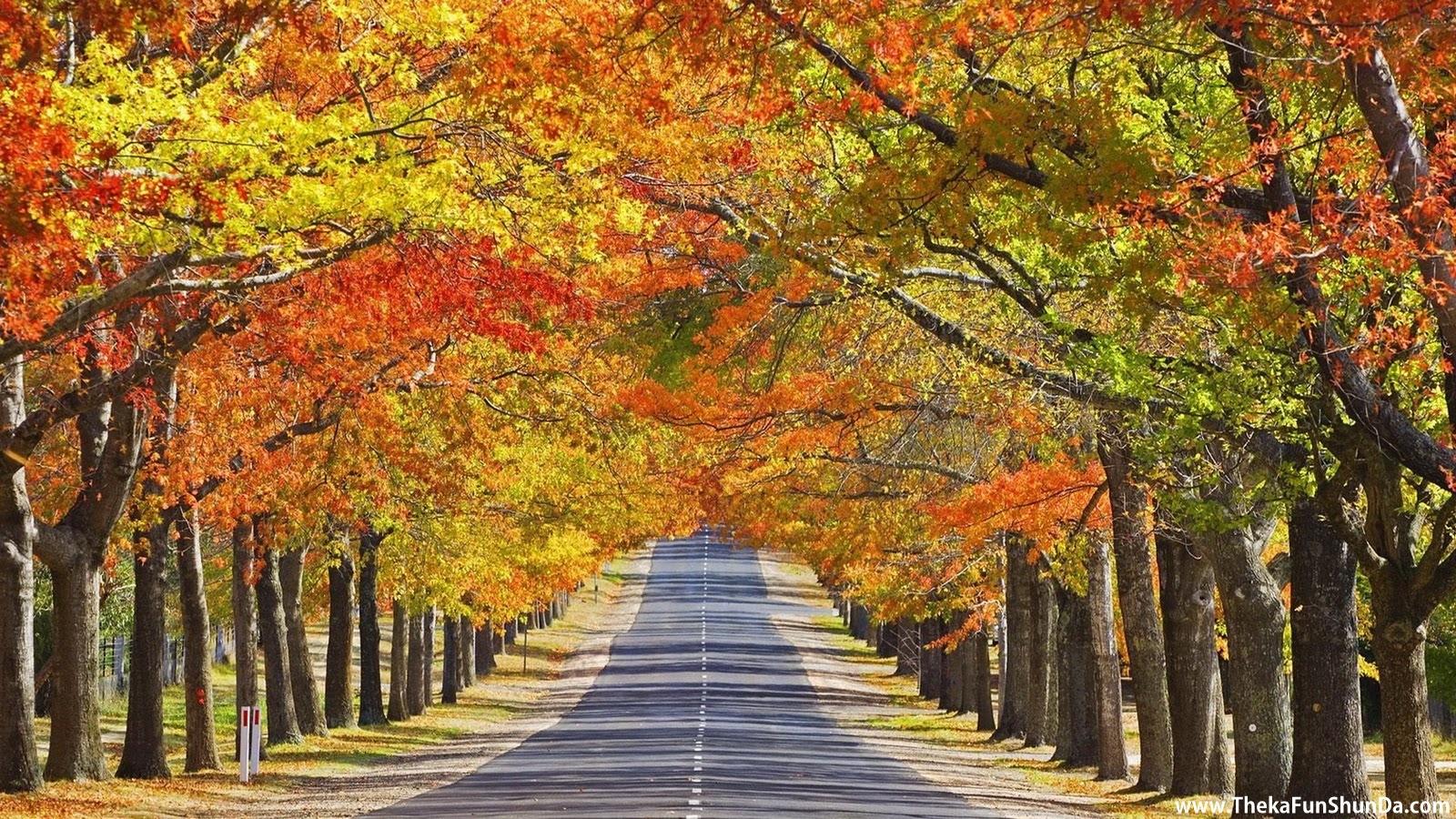 Autumn Season