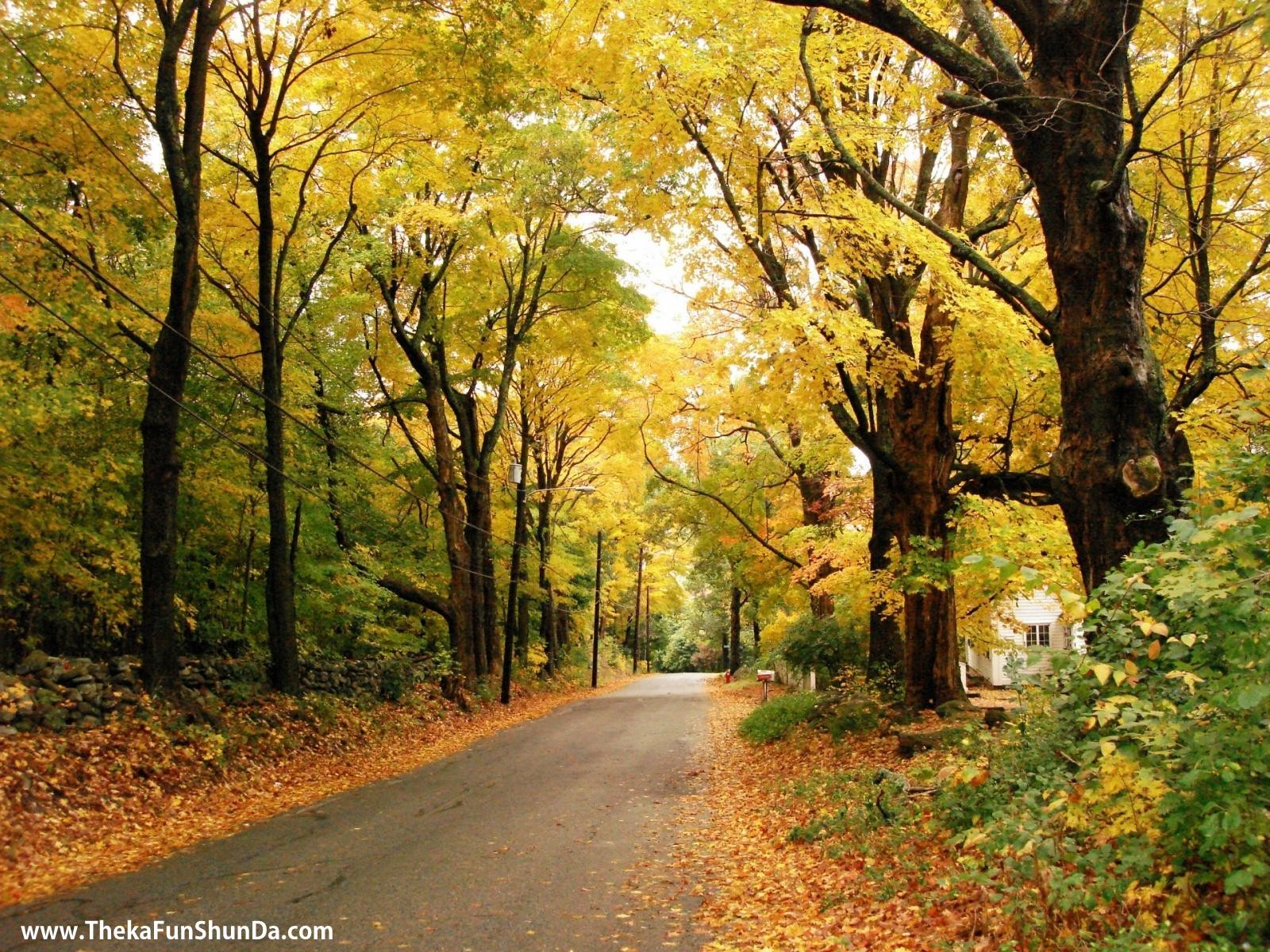 Autumn Season