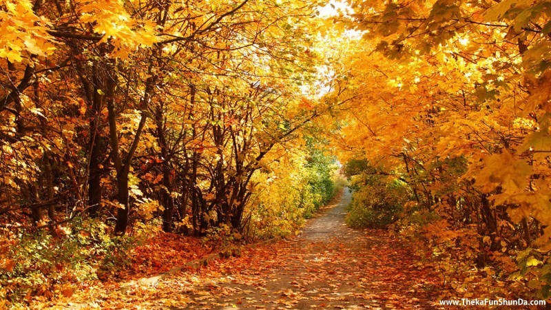 Autumn Season
