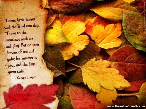 Autumn Season