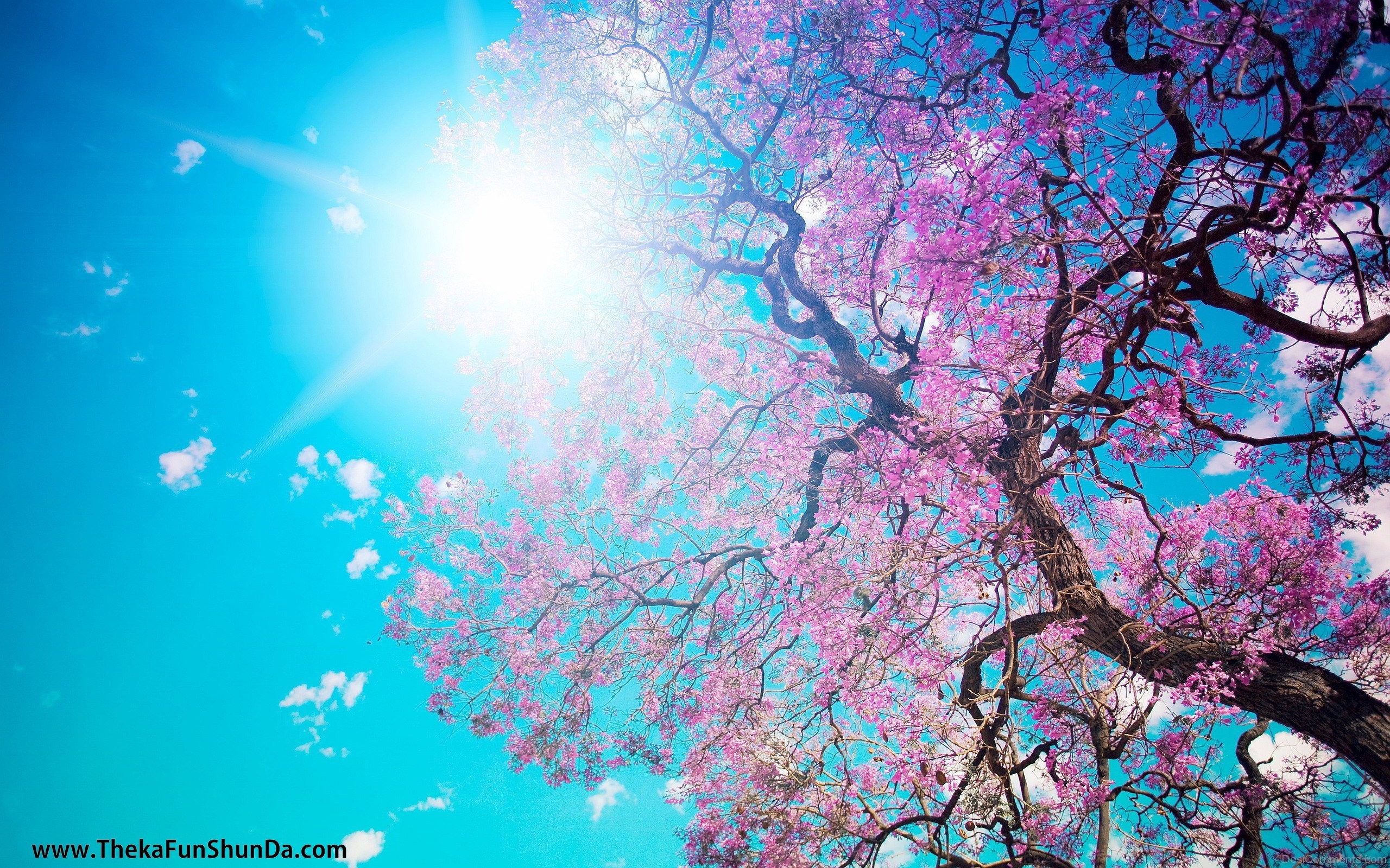 Spring Season