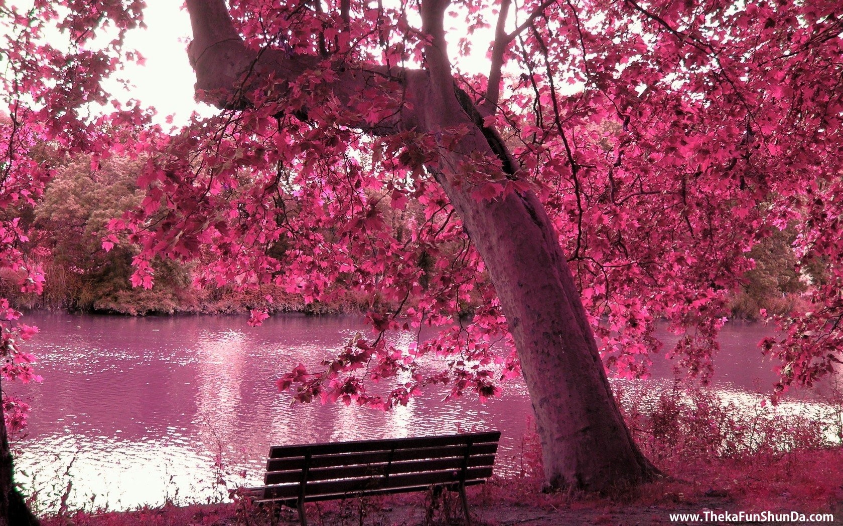 Spring Season