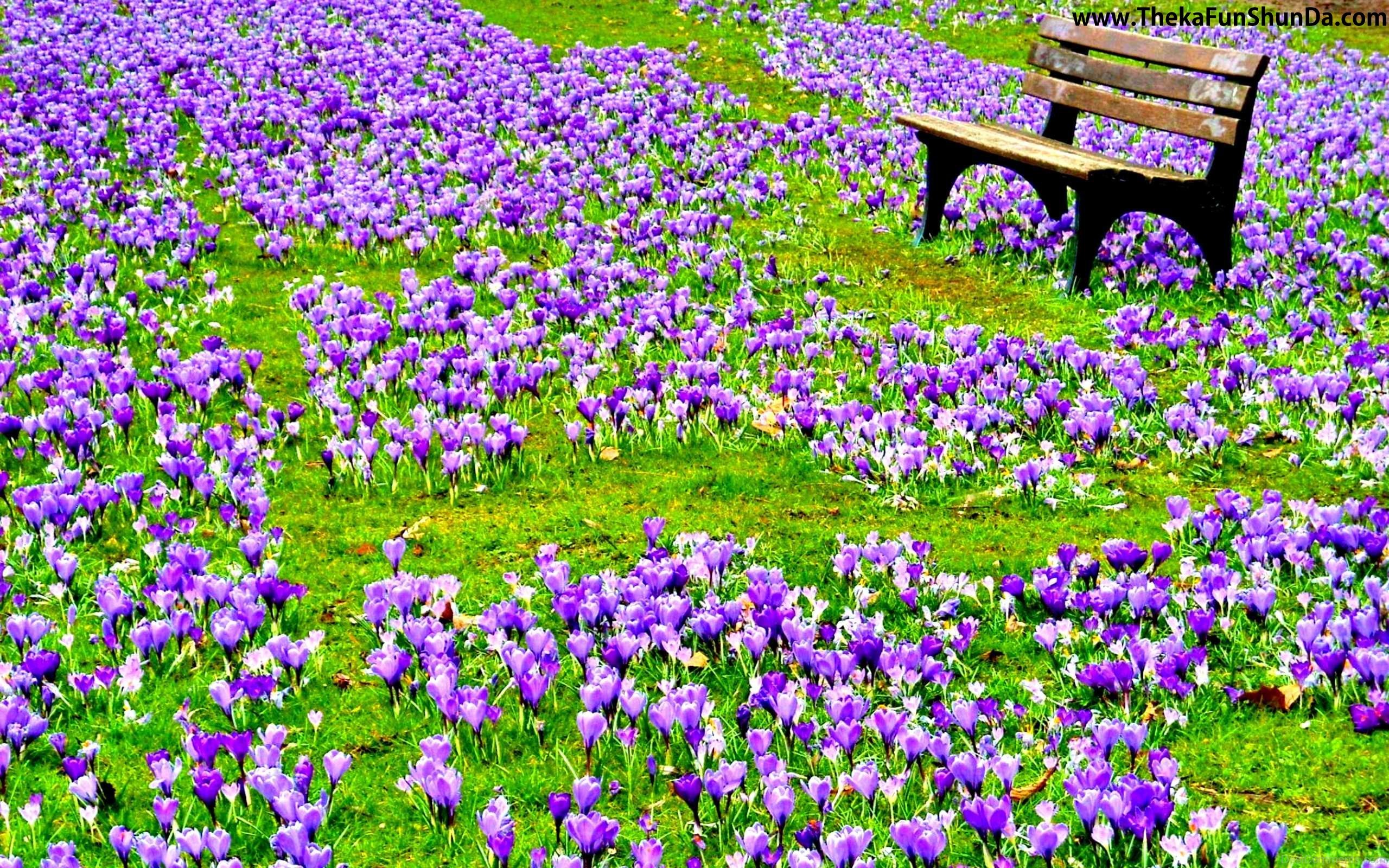 Spring Season