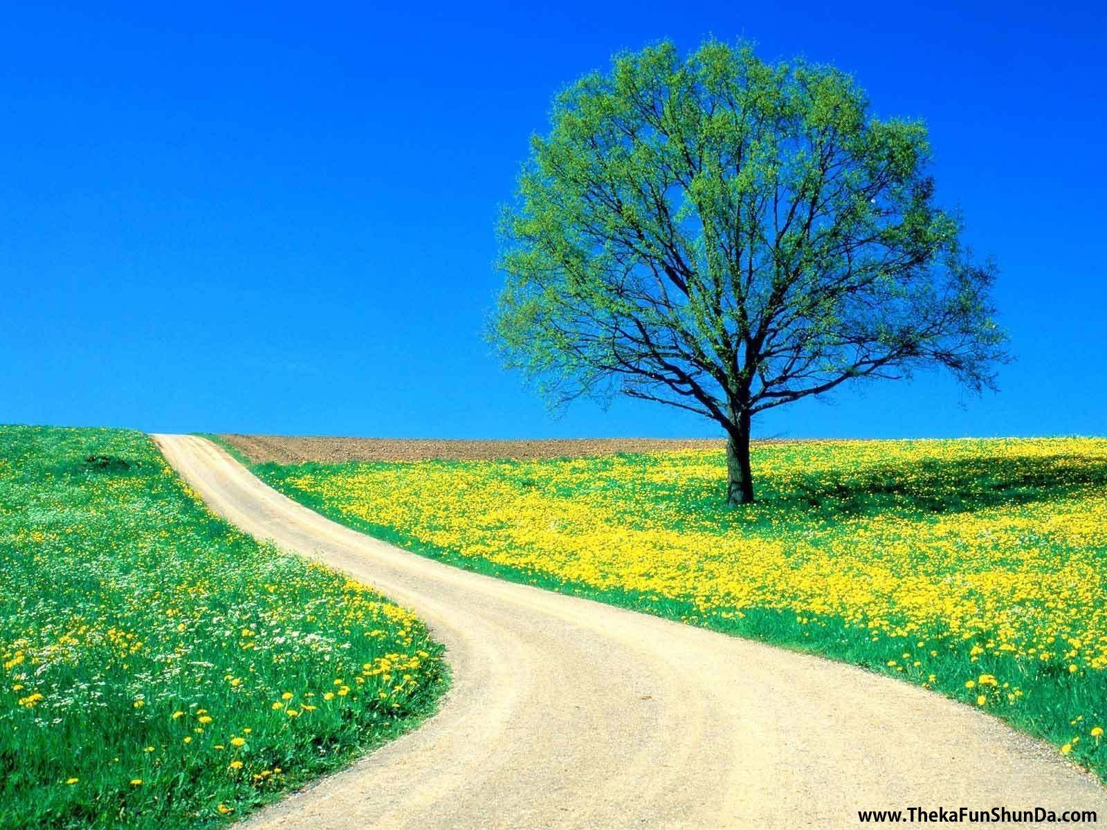 Spring Season