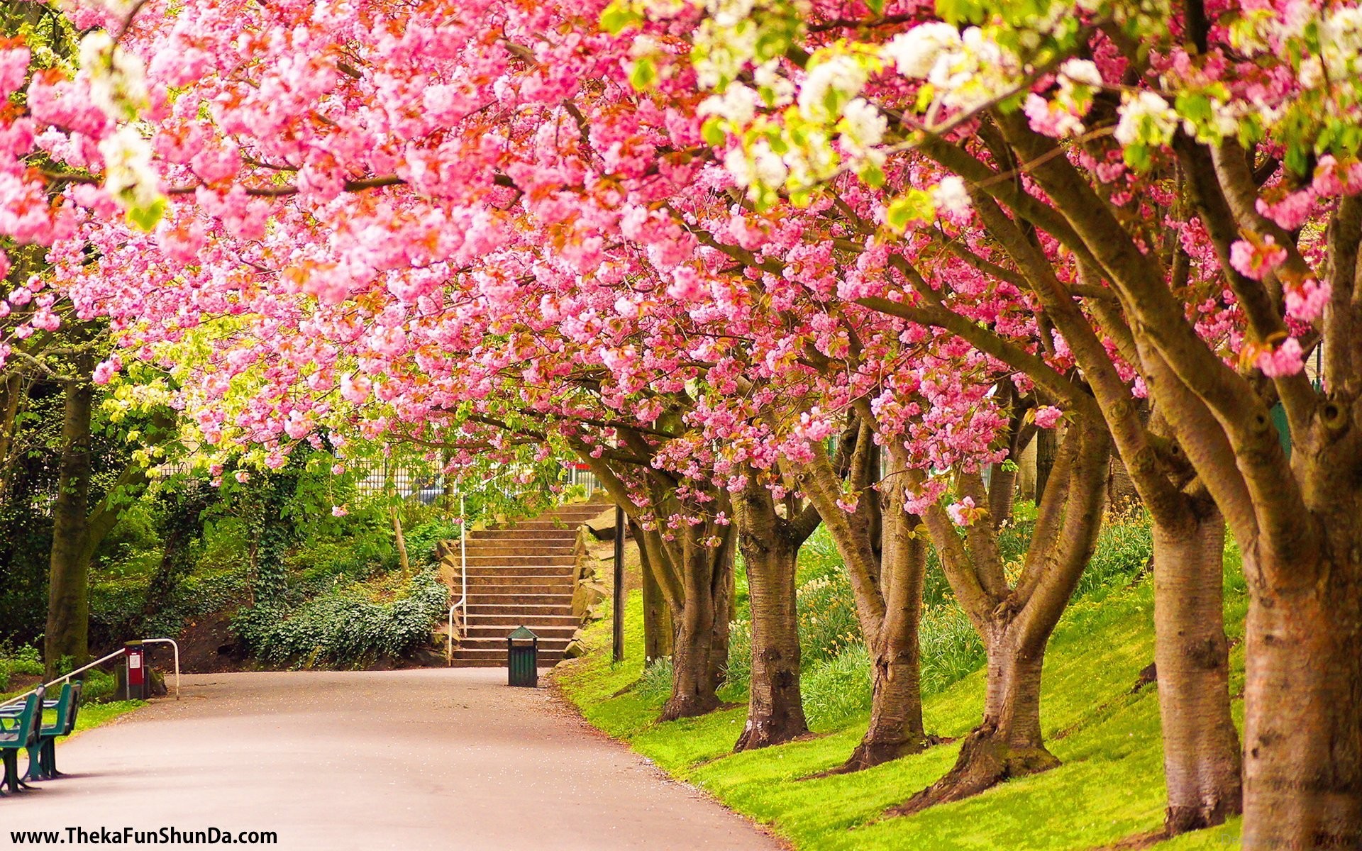 Spring Season