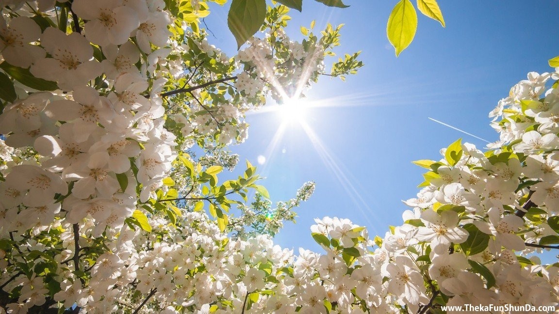 Spring Season