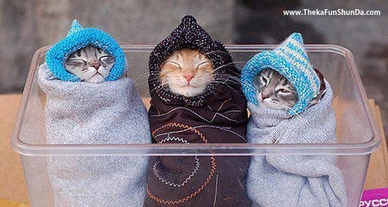 Winter Season