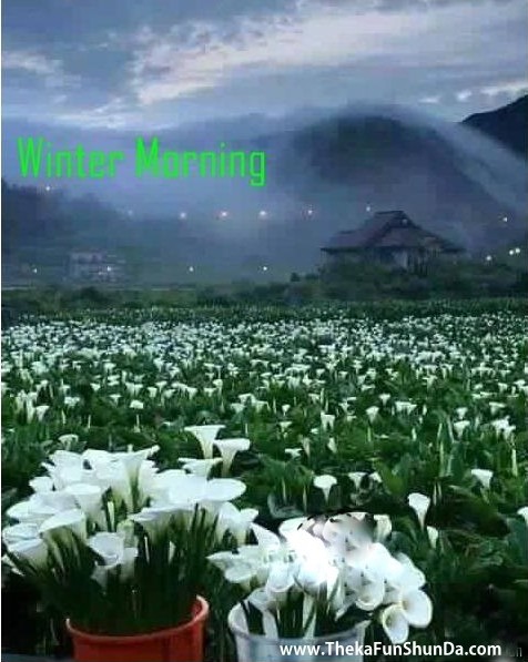 Winter Season
